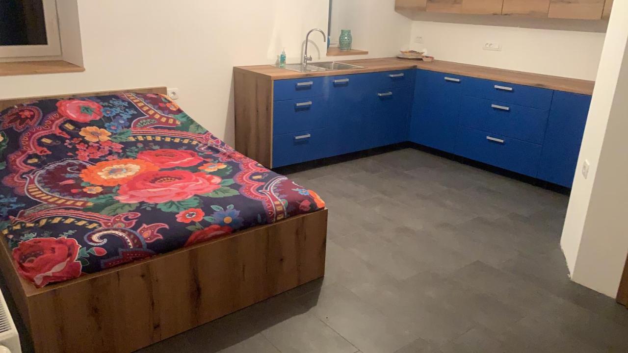 Amazing Apartment Stari Trg pri Lozu Экстерьер фото